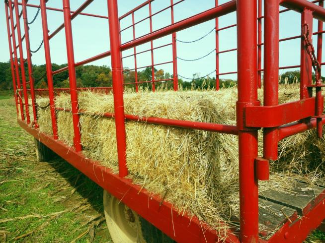 Hayride Accident During School Field Trip Injures 25