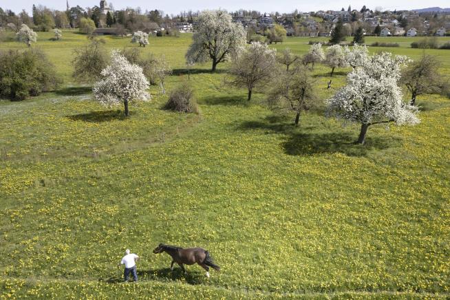 Swiss Voters Reject Major Biodiversity Funding Initiative