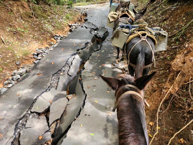 Mules Bringing Life-Saving Aid in NC