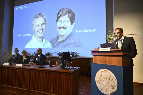 Two Americans Win Nobel for Medicine