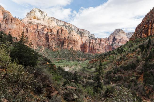 Canyoneer in Zion Falls to His Death