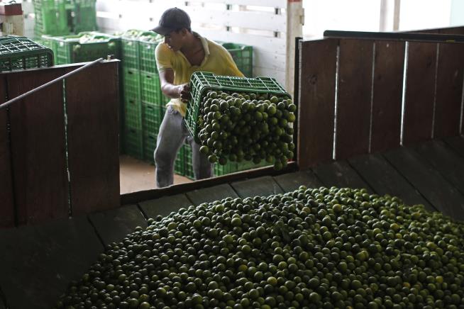 Mexico Deploys Troops to Protect Lime Growers