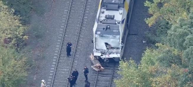 NJ Train Hits Tree, Kills Conductor