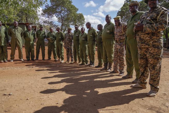 Kenya Moves Elephants After Conservation Success