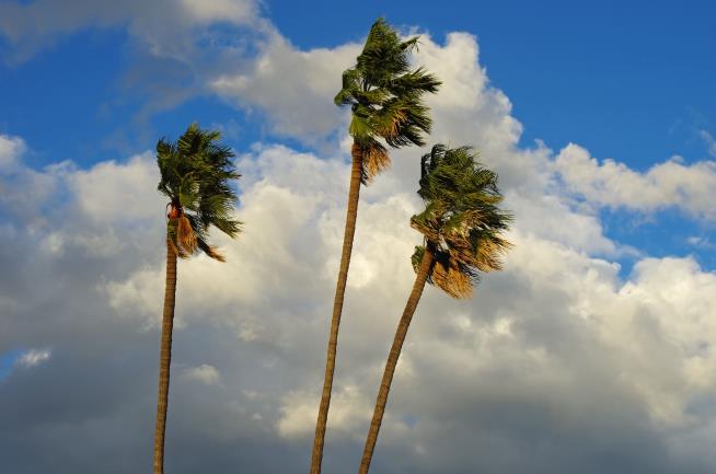 California, Get Ready for 'Diablo Winds'