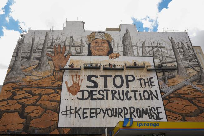 Message to US Firm Was Made From Destroyed Rainforest