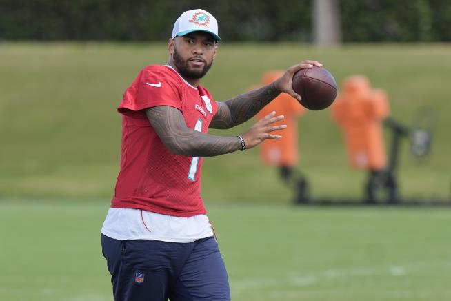 Dolphins QB Will Play After Most Recent Concussion