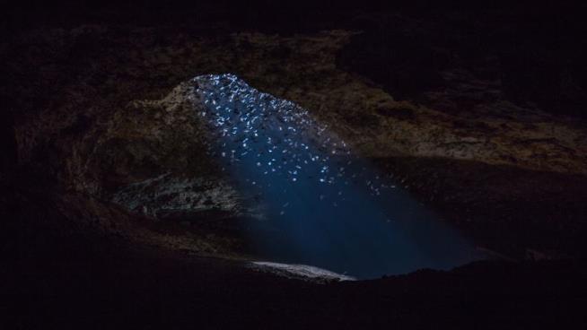 They Dig to Find a Legendary Cave That Might Not Exist