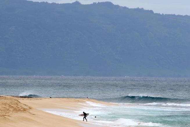 Shark Bites Off Hawaiian Surfer's Leg