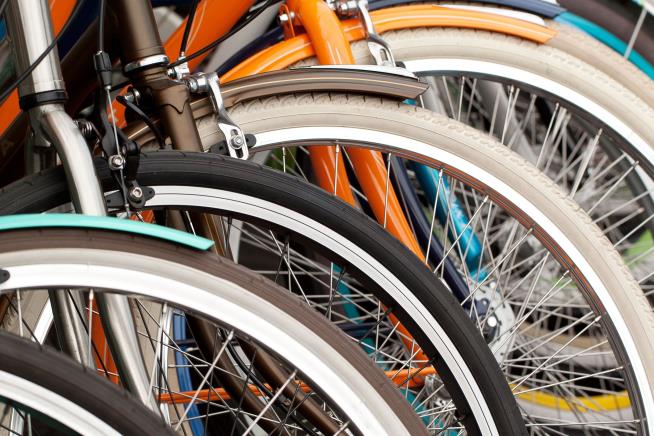 100K College Students Biked 30 Miles for Dumplings