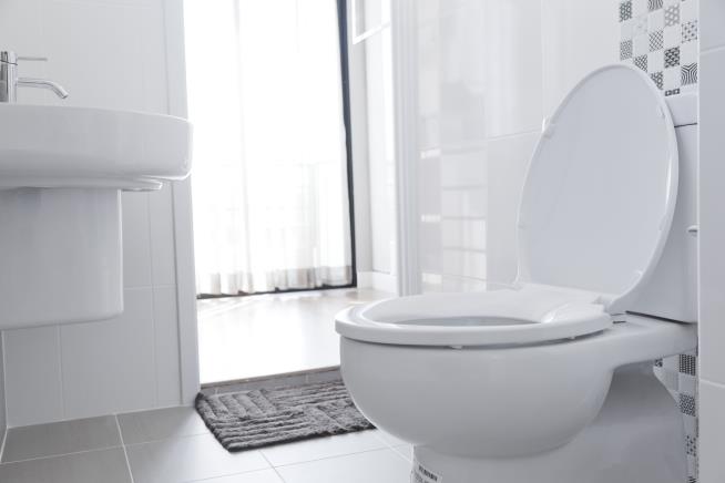 Doctors: Stop Sitting on the Toilet So Long