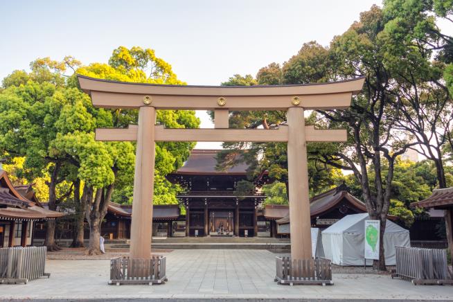 Cops: US Tourist Used Fingernails to Vandalize Tokyo Shrine