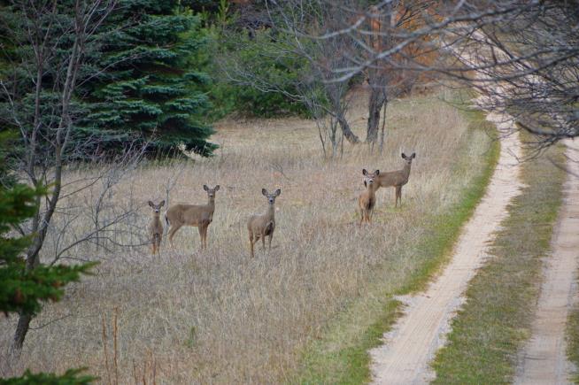 Doctors Warn of Risks After Hunters Die of Heart Attacks