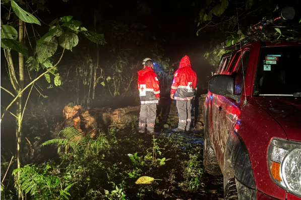 Rescuers Carry Crash Survivor 14 Hours Out of Jungle