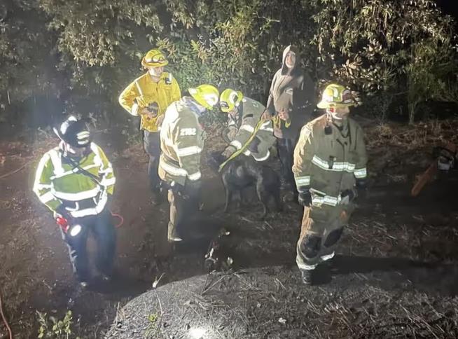 Rescuers Pull Dog Out of 50-Foot Mine Shaft