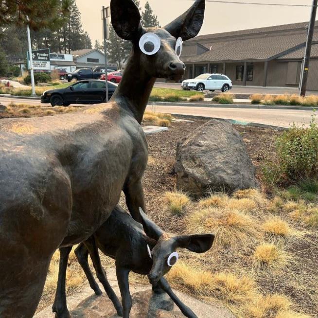 City: Please Stop Doing This to Sculptures