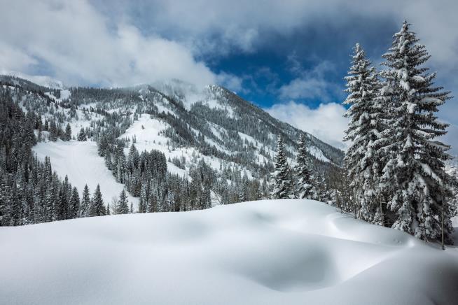 Man Buried by Avalanche: 'Most Violent Thing I've Ever Felt'