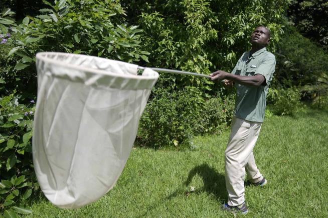 Man Looks to Transfer His $8M Butterfly Collection