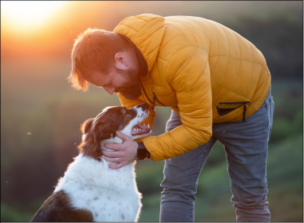 Which Type of Pet Insurance Do You Need?