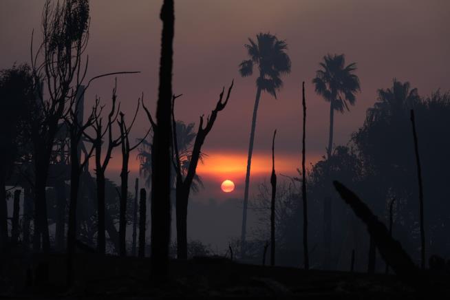 Hundreds of Inmates Are Fighting LA Fires