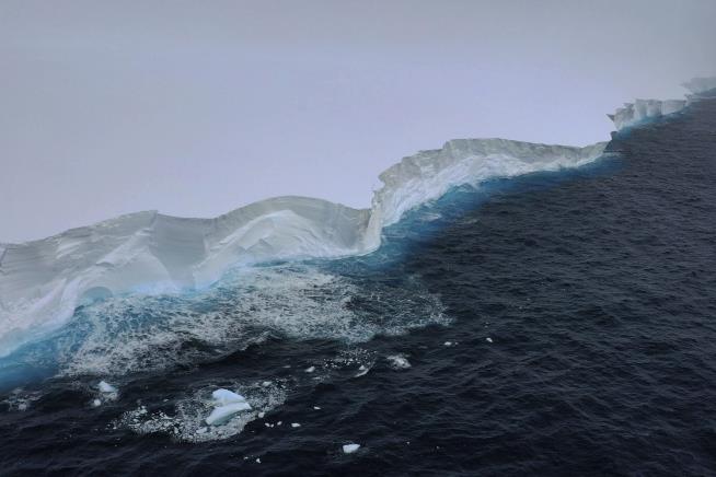 World's Largest Iceberg Makes a Beeline for Animal Haven