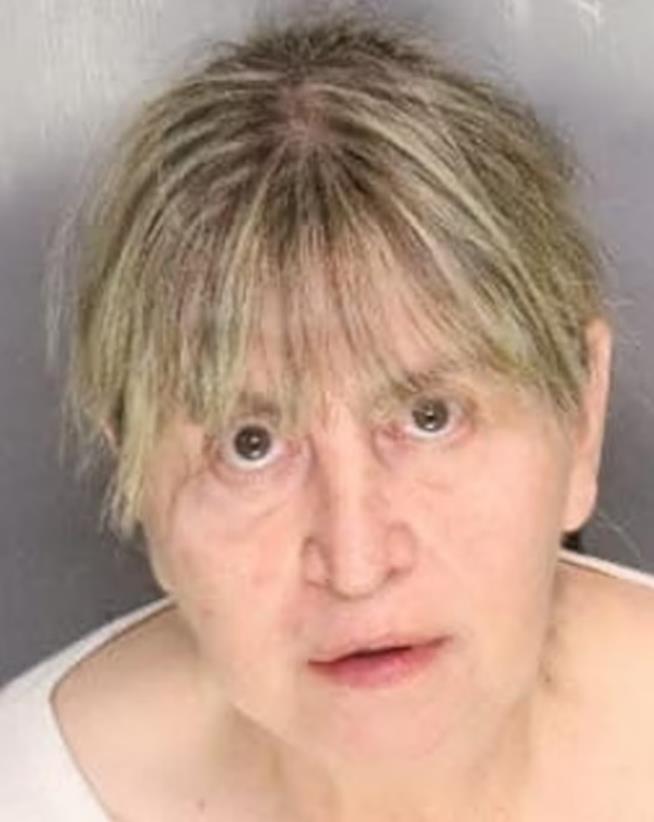 Woman Arrested After 27 Dead Horses Found in California