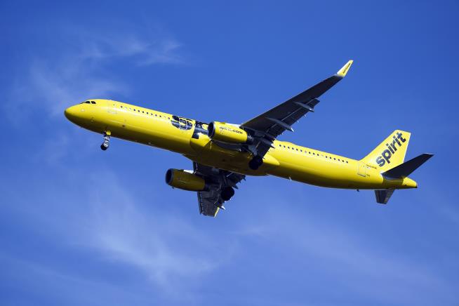 Spirit Airlines' Dress Code Now Covers 'Lewd' Tattoos