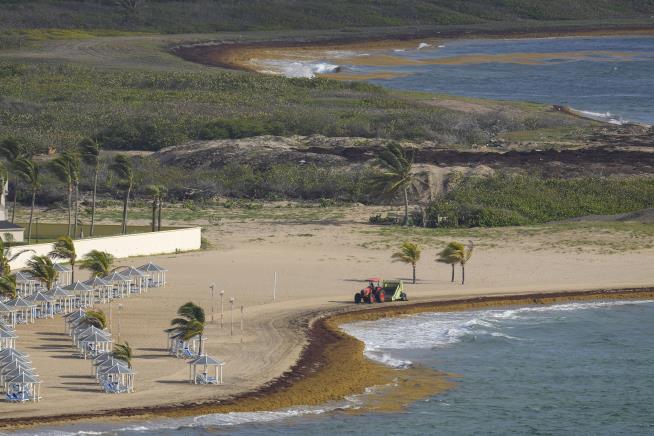 19 Bodies Found on Boat in the Caribbean