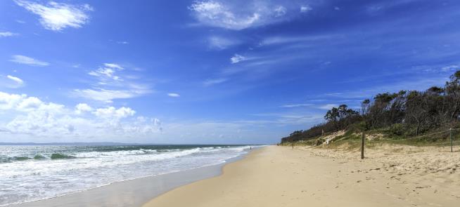 17-Year-Old Lifesaver Killed in Shark Attack