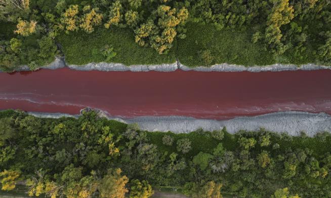 'It's Horrible,' Resident Says of Stream Turned Blood Red