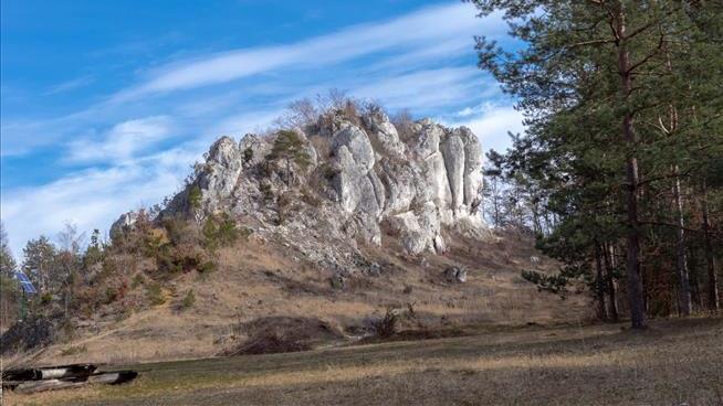 Ancient Bones Found in Cave Show Signs of Cannibalism