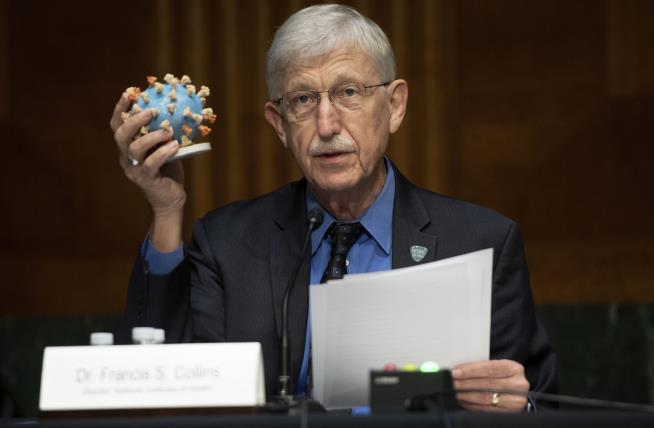 Collins Retires From NIH, Asks for Respect for Staff Being Cut