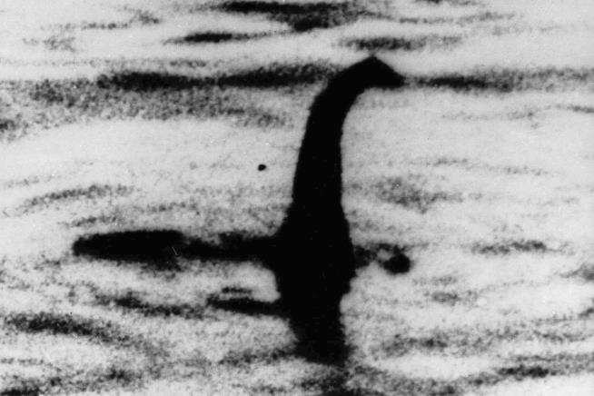 Loch Ness Centre Reports 'Captivating' Sighting