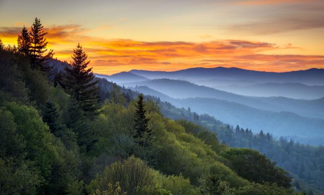 The Most, and Least, Visited National Parks in America