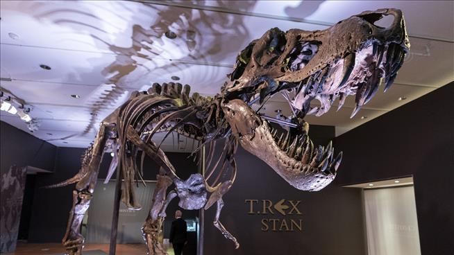 Private Fossil Buyers Are Hurting T. Rex Research