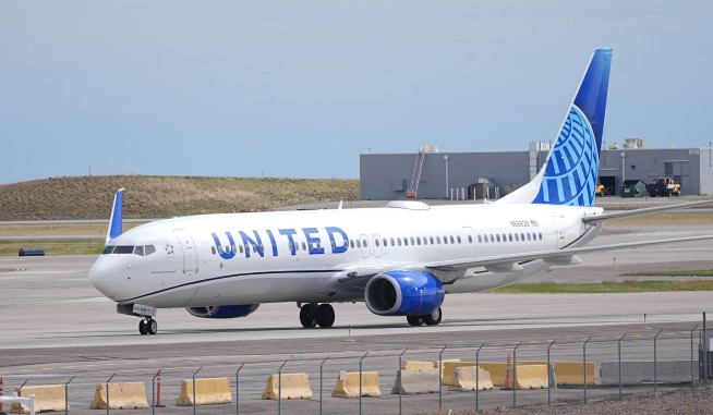 Plane Makes Emergency Landing After Rabbit Strike