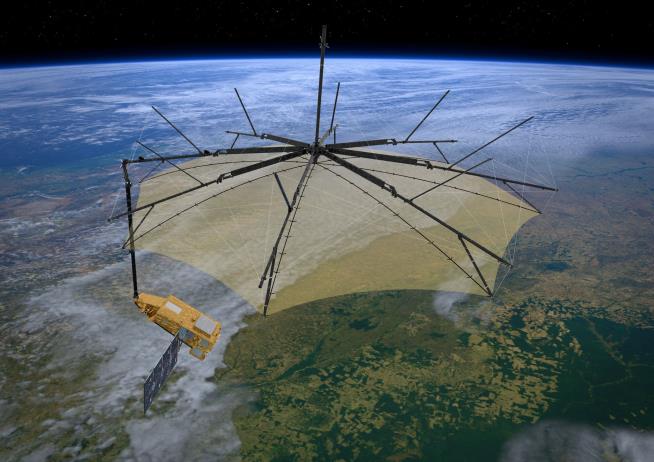 First-of-Its-Kind Satellite to 'Weigh' Earth's Trees