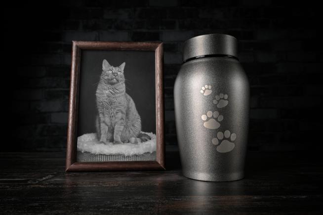 Paid $650K for Cremations, He Threw Pets in Dump: Cops