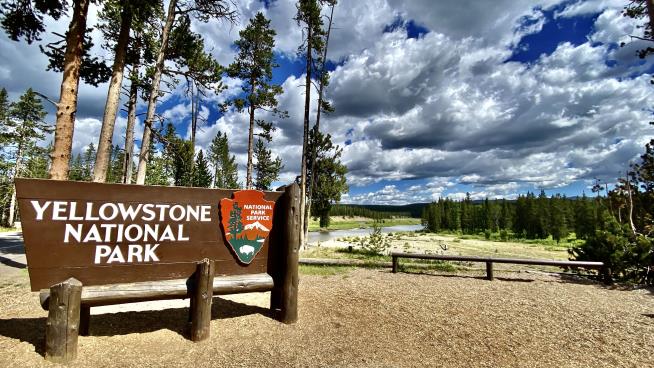 7 Dead After Truck, Tour Van Crash Near Yellowstone