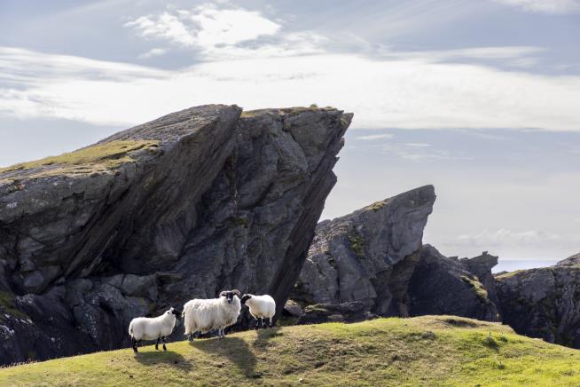 Owner Giving Away Business on Remote Scottish Island