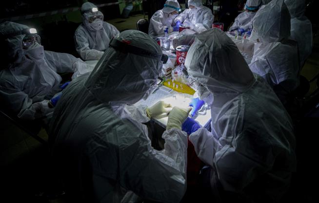 Coronavirus Likely Was Moved by Wildlife, Research Shows