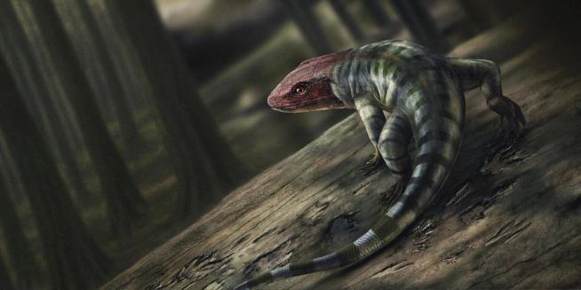 Scientists Find Earliest Evidence of Walking Animal
