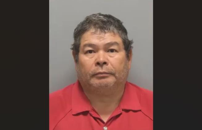 Cops: Florida Man Rains Bullets on Neighbor's Pregnant Cow