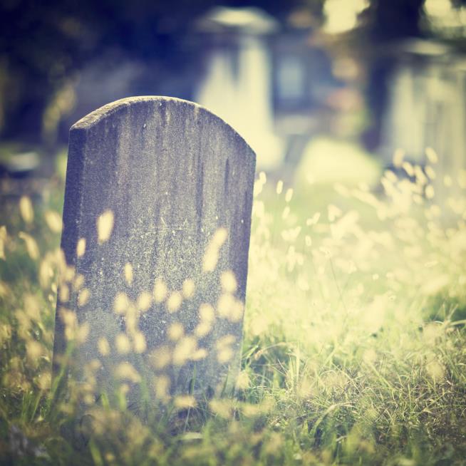 Boy, 7, Likely Killed by Olive Brine in Strange Colorado Case