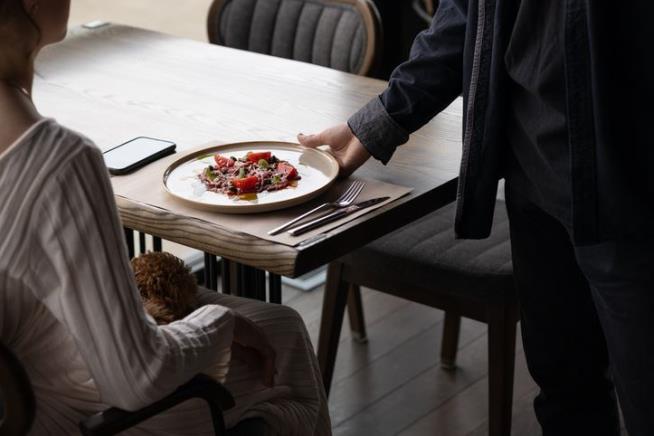 Women Who Dine Out Alone Are Just Fine, Thanks