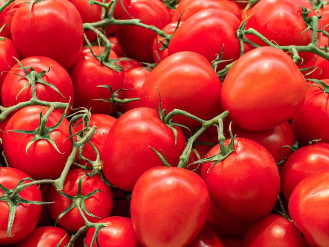 Tomatoes Recalled Over 'High Risk of Illness or Death'