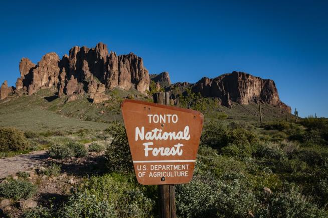 Arizona Teens Found Fatally Shot in Forest
