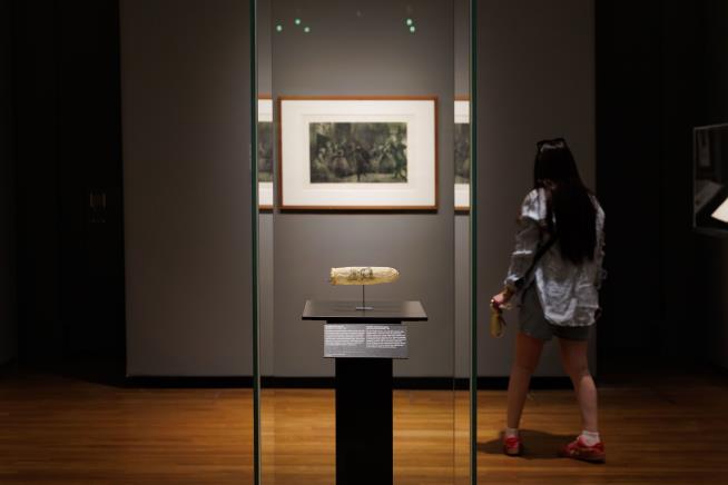 200-Year-Old Condom Goes on Display