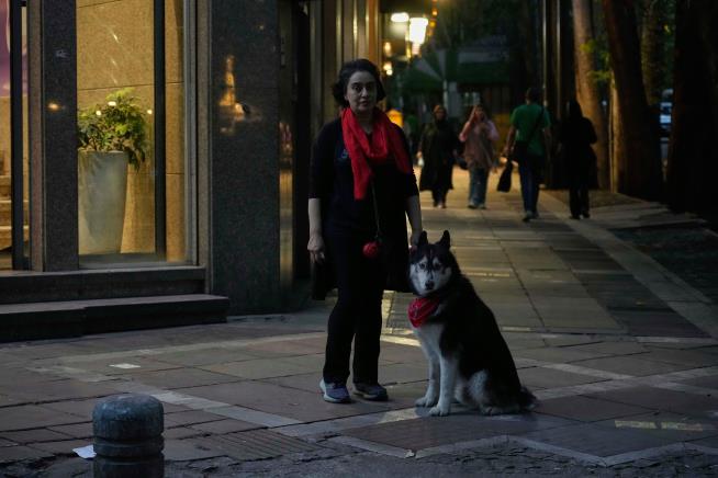 Iran Cracks Down on ... Dog Walking