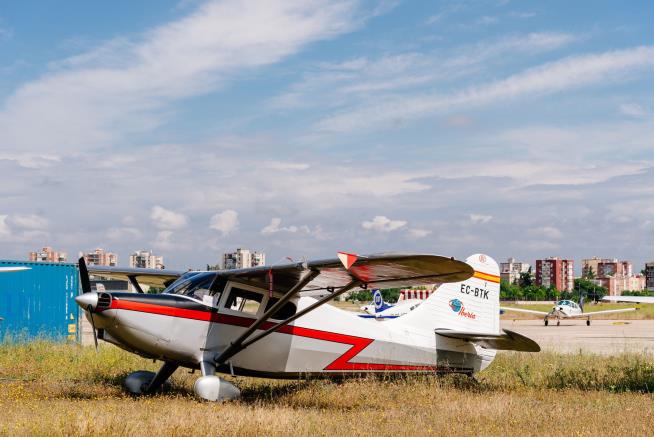 NTSB: Pilot Tried to Avoid Turtle Before Deadly Crash